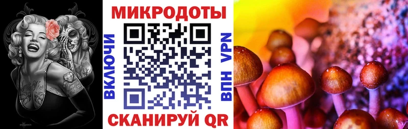 площадка официальный сайт Александров Псилоцибиновые грибы мухоморы